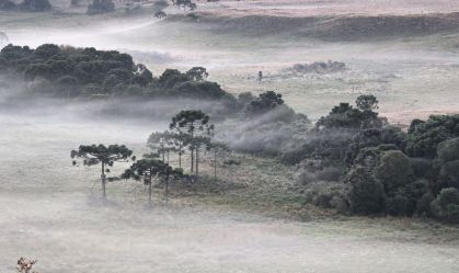 Cidade no interior de Santa Catarina registrou temperatura de 0,1ºC na primeira onda de frio de 2024