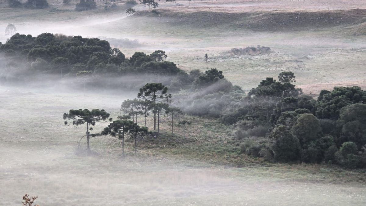 Chuva forte e risco de geada: como fica o tempo no Brasil nesta quarta (16)