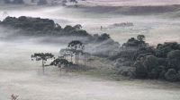 Massa de ar frio pode causar geadas e temperaturas negativas no Sul do país