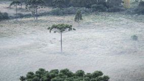 Cidade no interior de Santa Catarina registrou temperatura de 0,1ºC na primeira onda de frio de 2024