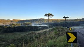Cidade no interior de Santa Catarina registrou temperatura de 0,1ºC na primeira onda de frio de 2024