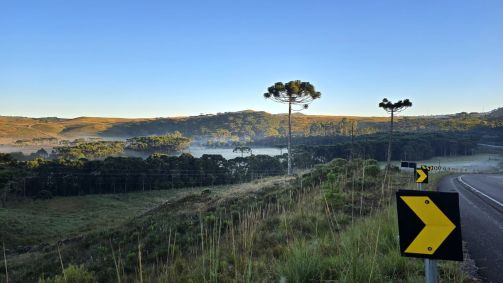 Cidade no interior de Santa Catarina registrou temperatura de 0,1ºC na primeira onda de frio de 2024