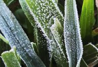 Onda de frio: estados têm alerta para queda de temperatura nesta segunda-feira (08)