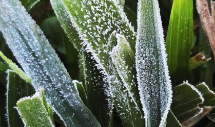 Cidade no interior de Santa Catarina registrou temperatura de 0,1ºC na primeira onda de frio de 2024