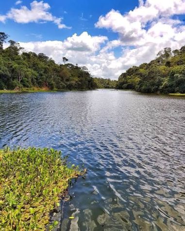 Imagem da área da lagoa do Cobre / Instituto Trilha das Flores