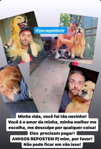 Tutor de Joca publicou sobre a morte do animal nas redes sociais / Reprodução/Instagram