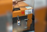 Etiqueta da caixa de transporte do cão Joca continha nome e destino errados, afirma tutor