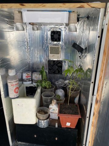 Equipes policiais localizaram em um dos quartos uma estufa aberta com a plantação de maconha / Divulgação