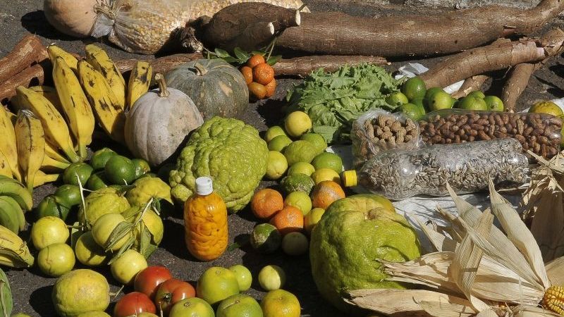 Imagem de destaque do post: Insegurança alimentar atinge quase 5,5 milhões de crianças de até 4 anos