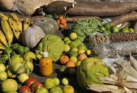 Insegurança alimentar: fome atingiu 3,2 milhões de lares brasileiros em 2023, diz IBGE