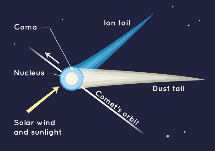 Diagrama que mostra a anatomia de um cometa / NASA/JPL-Caltech