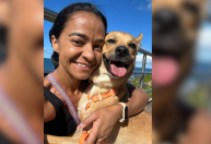 Mais um ataque de Pitbull: dona salva vira-lata 