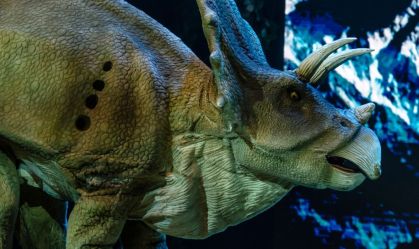 Aventura jurássica "Dinosaurs World" chega em São Paulo; saiba tudo