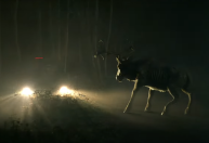 Depois de Ursinho Pooh, filme de terror com Bambi ganha trailer