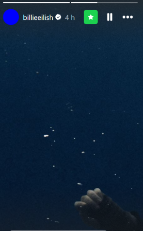 Billie Eilish usa recuso "Melhores Amigos", no Instagram / Reprodução/ Instagram