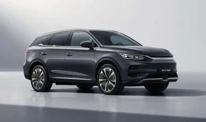 BYD Tan