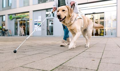 Dia do Cão-Guia: entenda como pets auxiliam na autoestima e confiança do tutor
