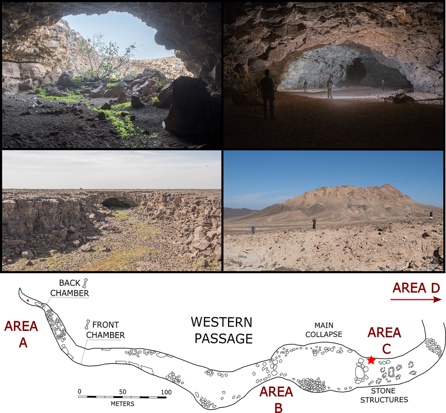 No canto superior esquerdo, vista da entrada de Umm Jirsan. No canto superior direito, imagem de dentro do tubo de lava. No meio à esquerda, outro exemplo de um tubo de lava próximo a Umm Jirsan. No meio à direita, área de Jebel Abyad com fragmentos de rochas ígneas. Na parte inferior, plano simples do sistema de cavernas de lava de Umm Jirsan com uma estrela vermelha indicando a localização da escavação do Trench 1 / Green Arabia Project/Divulgação