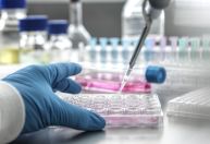 Cientistas do Brasil e da Índia criam tratamento promissor para tumores sólidos