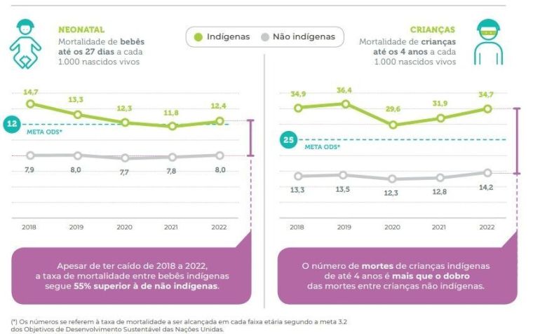 Estudo mostra que crianças indígenas morrem duas vezes mais que crianças não indígenas Estudo mostra que crianças indígenas morrem duas vezes mais que crianças não indígenas / Reprodução
