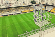 Criciúma x Botafogo: horário e onde assistir ao jogo do Brasileiro