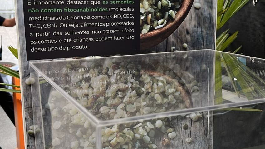 Exposição barrada sobre cannabis na Câmara dos Vereadores de São Paulo / Reprodução