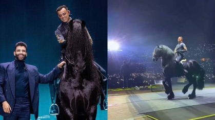 Montagem com fotos do cantor Gusttavo Lima ao lado de um cavalo e do momento em que o animal está no palco durante o show
