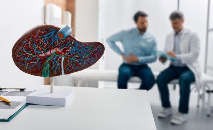 Modelo anatômico de um fígado em uma mesa de consultório médico, em primeiro plano; em segundo plano, um médico atende um paciente
