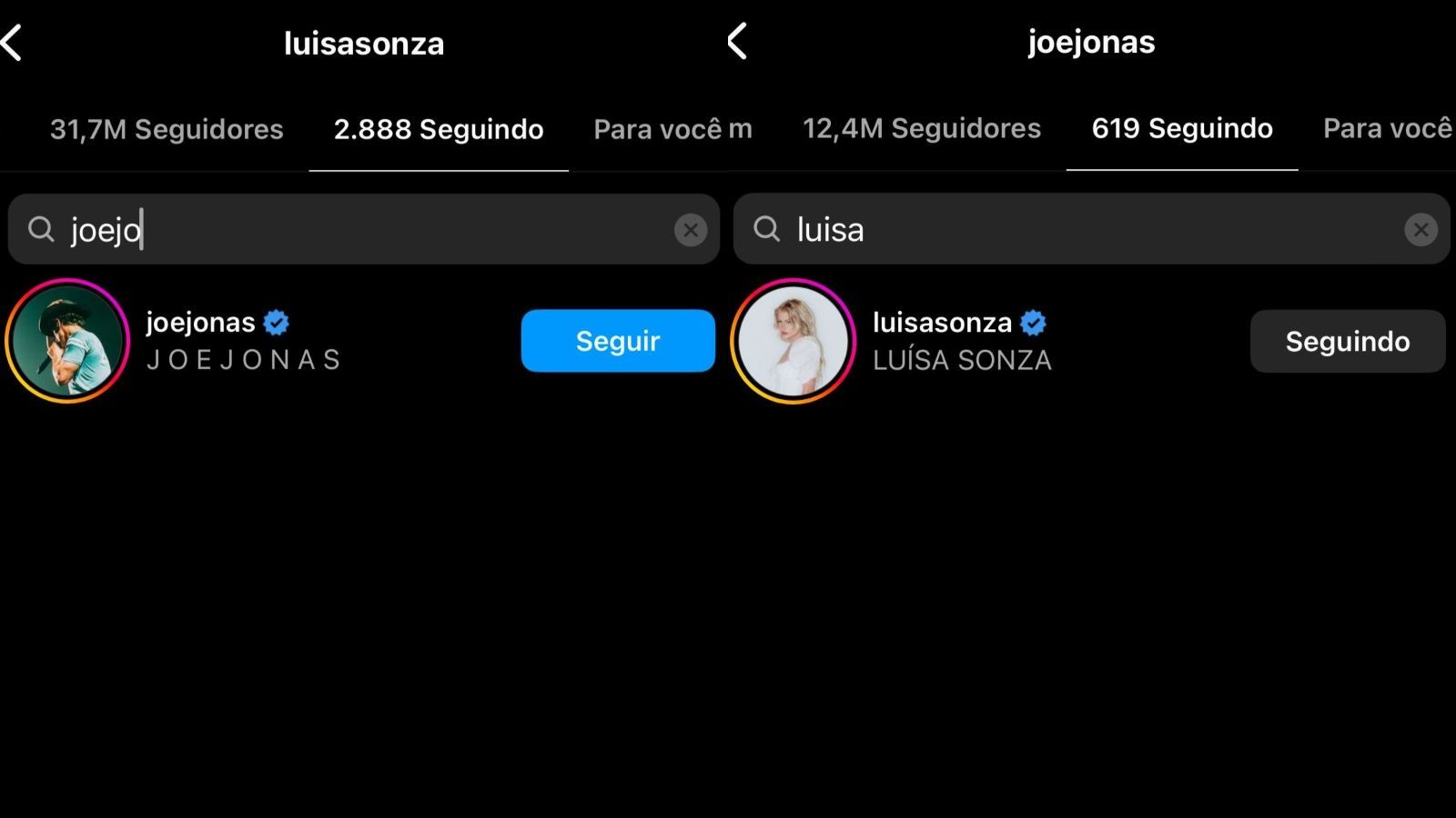 Joe Jonas e Luísa Sonza seguem um ao outro no Instagram / Reprodução/Instagram