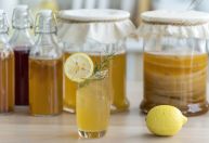 Kombucha pode reduzir acúmulo de gordura, sugere estudo