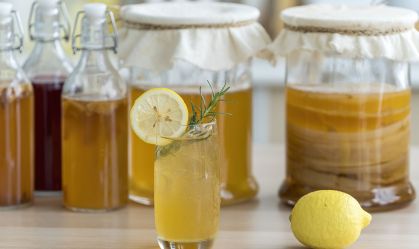 Kombucha tea with lemon and sweetened root filling in glass jug on kitchen background. Natural kombucha fermented tea beverage healthy organic drink in glass.