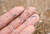 Microplásticos encontrados em alimentos contaminados podem chegar ao cérebro