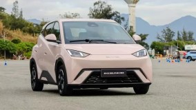 BYD Dolphin Mini é carro subcompacto elétrico com cores diversas, como rosa