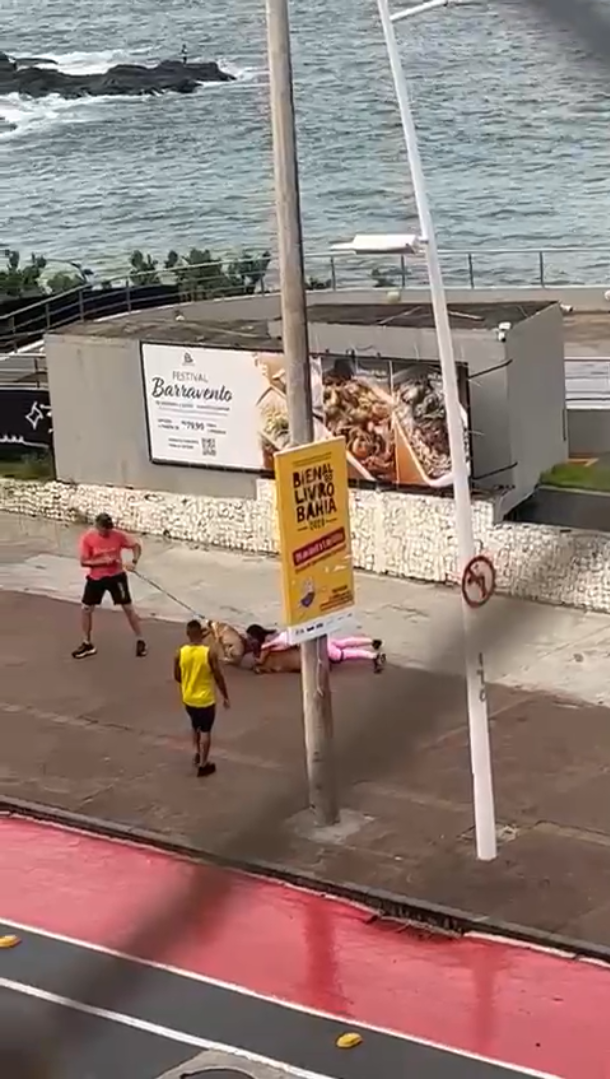 Momento do ataque / Reprodução/ Redes Sociais