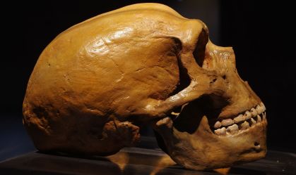 Cientistas brasileiros vão buscar na Romênia os traços dos últimos neandertais