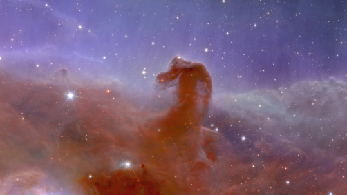 Nebulosa Cabeça de Cavalo ainda terá cerca de cinco milhões de anos antes de se desintegrar
