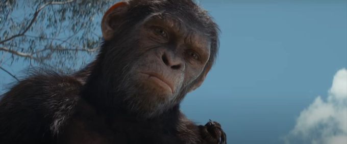 "Planeta dos Macacos: O Reinado" teve até escola para movimentos e vozes dos atores