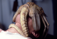 "Alien": conheça todos os filmes da franquia