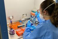 Vacina de DNA contra zika apresenta bons resultados em testes com camundongos
