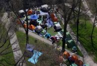 Harvard chega a acordo com manifestantes para desmontar acampamento no campus