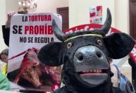 Congresso da Colômbia aprova proibição de touradas após sete anos de tentativas