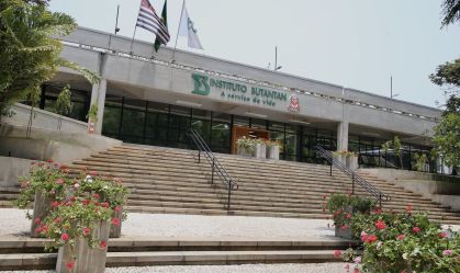 Butantan inicia produção das vacinas de dengue antes de liberação da Anvisa