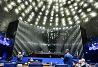 Em meio a desastre climático no RS, Senado vota projeto que reduz reserva legal na Amazônia