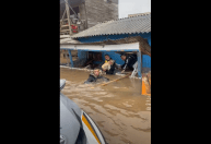 Chuvas no RS: policiais resgatam cão que se equilibrava em móveis para sobreviver; veja vídeo