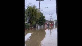 Enchente em bairro de Porto Alegre (RS) que fica próximo ao dique que extravasou