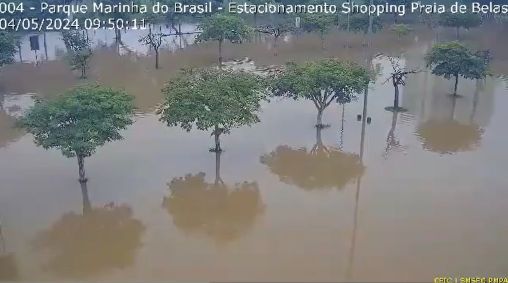 Árvores ficam quase submersas no Parque da Marinha do Brasil, em Porto Alegre (RS)
