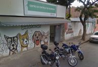 Morcego contaminado com raiva é encontrado em Belo Horizonte