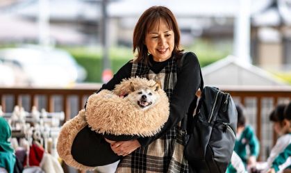 Morre Kabosu, cachorra que inspirou o Dogecoin