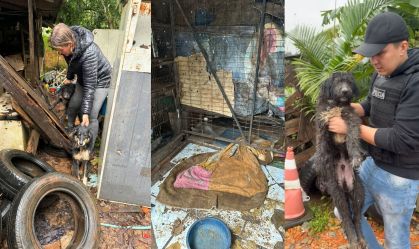Dona canil clandestina presa