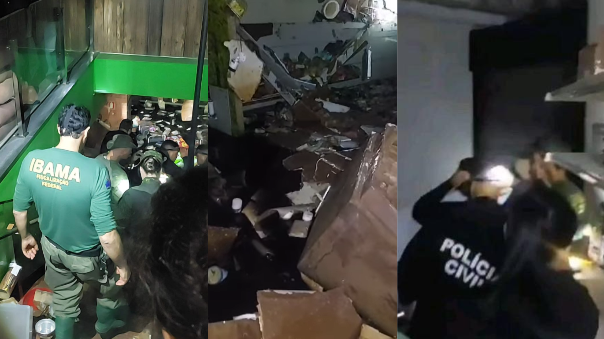 Operação do Ibama e da Polícia Civil foi realizada nesta quinta-feira (23)